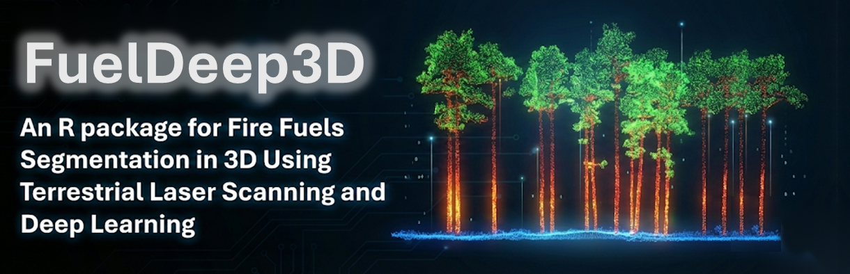 Single tree segmentation output